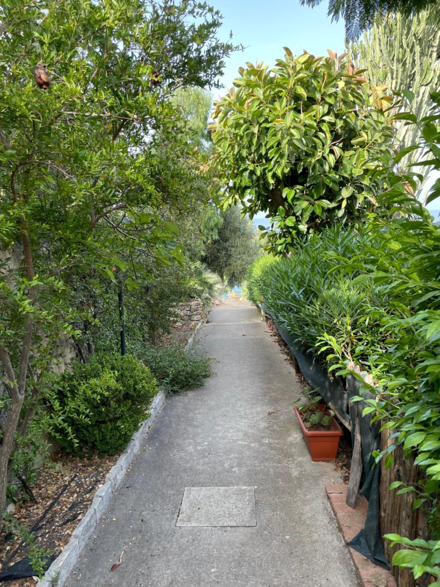 Villa Hibiscus Scopello Scopello  Exterior photo